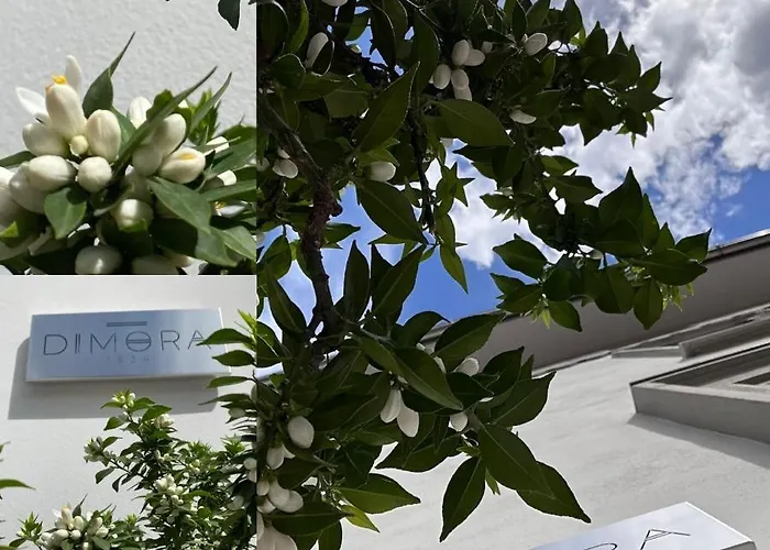 Dimora1934 Relax&comfort Tirano